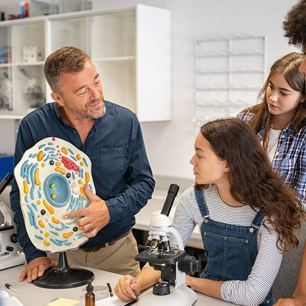 Inovação e metodologias ativas no ensino das ciências experimentais (1.ª edição)